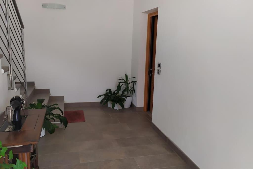 Casa Mirella Διαμέρισμα Vigolo Vattaro Εξωτερικό φωτογραφία
